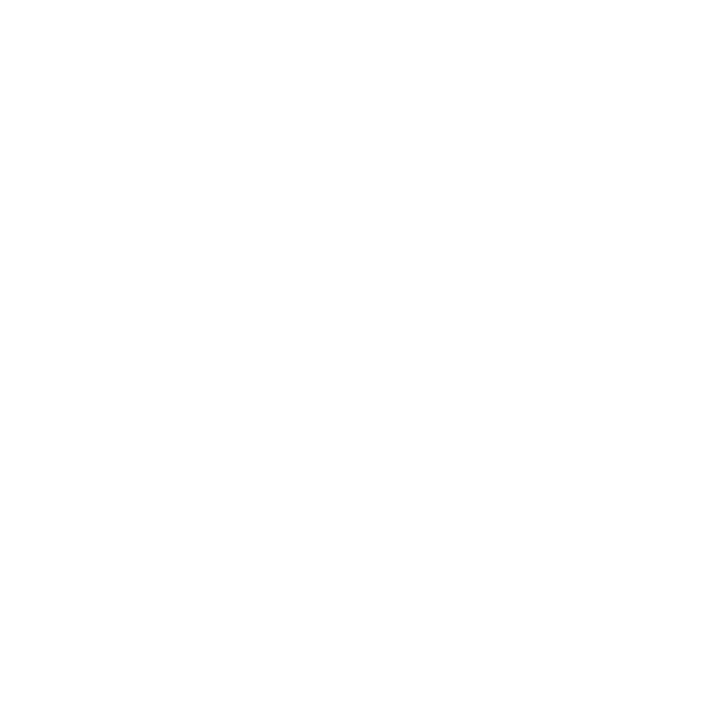 chat icon